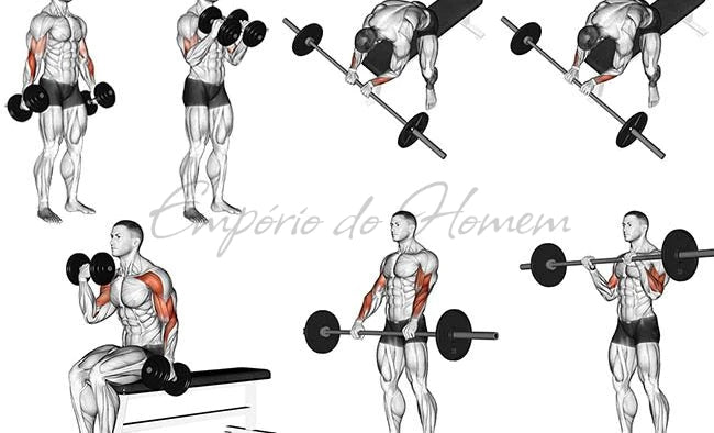 Flexor Force + Entraînement complet pour la prise de masse musculaire