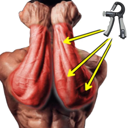 Flexor Force + Entraînement complet pour la prise de masse musculaire