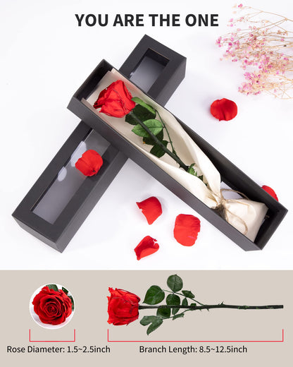 Valentines Day Gifts for Her,Valentines Rose Flowers Birthday Gifts for Women,Valentines Gifts for Wife,Preserved Rose, Preserved Flowers for Delivery Prime, Single Rose Real Rose - Red Rose