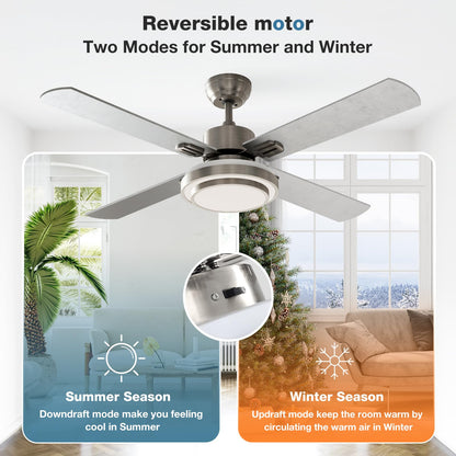 warmiplanet Ceiling Fan with Lights Remote Control, 52 Inch, Brushed Nickel Motor (4-Blades)